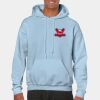 Heavy Blend Adult Hooded Sweatshirt Thumbnail