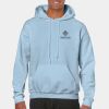 Heavy Blend Adult Hooded Sweatshirt Thumbnail