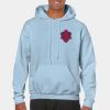 Heavy Blend Adult Hooded Sweatshirt Thumbnail