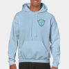 Heavy Blend Adult Hooded Sweatshirt Thumbnail