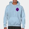 Heavy Blend Adult Hooded Sweatshirt Thumbnail