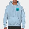 Heavy Blend Adult Hooded Sweatshirt Thumbnail