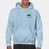 Heavy Blend Adult Hooded Sweatshirt Thumbnail