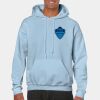 Heavy Blend Adult Hooded Sweatshirt Thumbnail