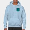 Heavy Blend Adult Hooded Sweatshirt Thumbnail