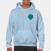 Heavy Blend Adult Hooded Sweatshirt Thumbnail