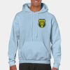 Heavy Blend Adult Hooded Sweatshirt Thumbnail