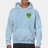 Heavy Blend Adult Hooded Sweatshirt Thumbnail