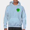 Heavy Blend Adult Hooded Sweatshirt Thumbnail