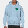 Heavy Blend Adult Hooded Sweatshirt Thumbnail