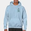 Heavy Blend Adult Hooded Sweatshirt Thumbnail