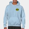 Heavy Blend Adult Hooded Sweatshirt Thumbnail