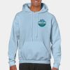 Heavy Blend Adult Hooded Sweatshirt Thumbnail