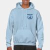 Heavy Blend Adult Hooded Sweatshirt Thumbnail
