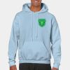 Heavy Blend Adult Hooded Sweatshirt Thumbnail