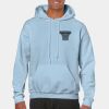 Heavy Blend Adult Hooded Sweatshirt Thumbnail