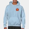 Heavy Blend Adult Hooded Sweatshirt Thumbnail