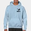 Heavy Blend Adult Hooded Sweatshirt Thumbnail