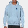 Heavy Blend Adult Hooded Sweatshirt Thumbnail
