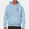 Heavy Blend Adult Hooded Sweatshirt Thumbnail