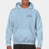 Heavy Blend Adult Hooded Sweatshirt Thumbnail