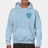 Heavy Blend Adult Hooded Sweatshirt Thumbnail