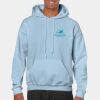 Heavy Blend Adult Hooded Sweatshirt Thumbnail