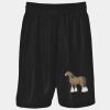 Podium Kids & Adults Basketball Shorts Thumbnail